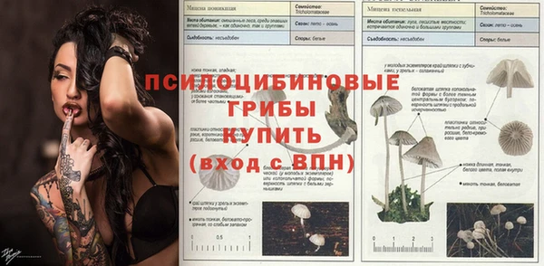 а пвп мука Арсеньев